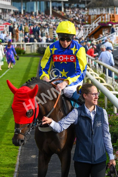 260823-Race 7-Astro King-1024 - Race 7 Sky Bet Finale Handicap at York
