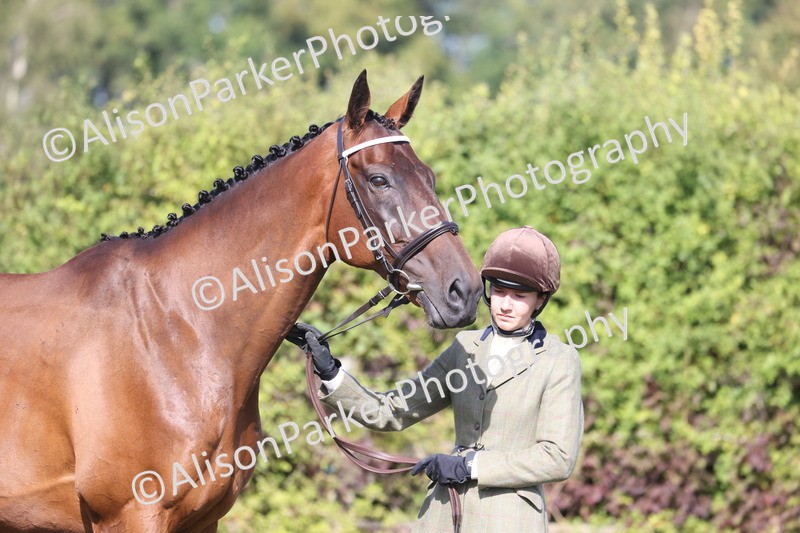 20260906-0690 - Class 22 - Ex Racehorse