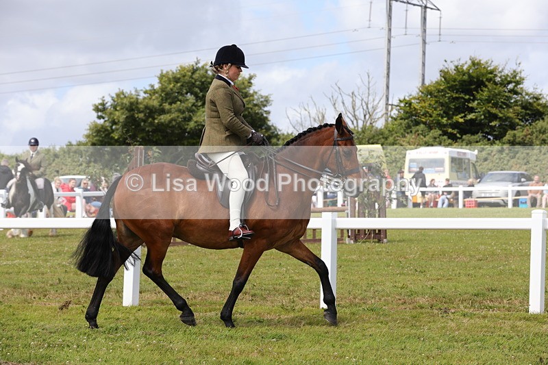 1X9A3950 - Class 32: Show Hunter Pony 153cm and under