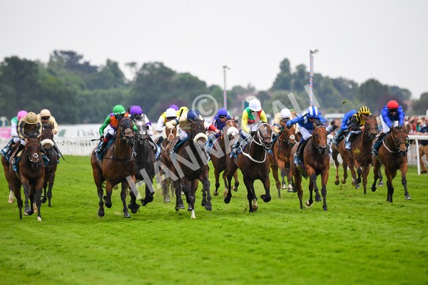 170623-Race 4-Quinault-0602 - Race 4 3.40pm Oakmere Homes Supporting Macmillan Sprint Handicap