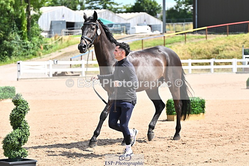 240718A-105244-01101 - Trot Up 12pm to 1pm