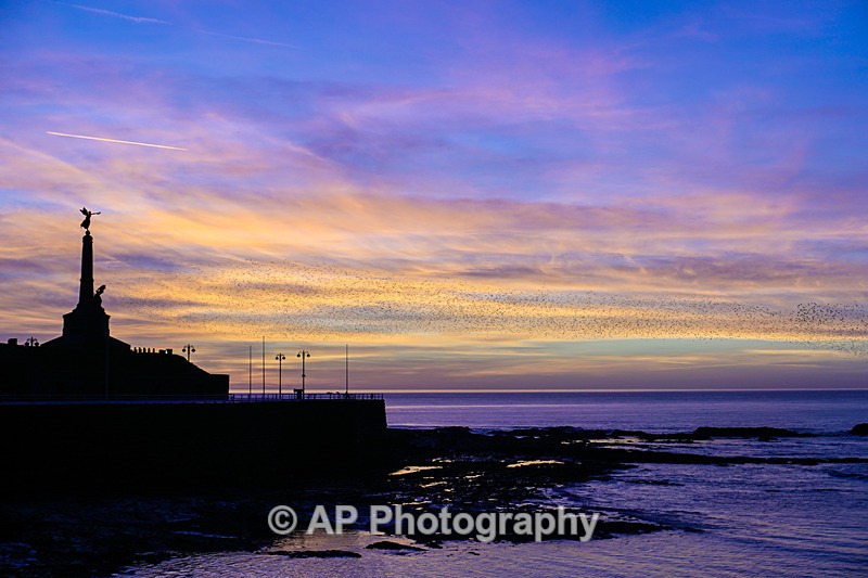 ACP00415-1 - Aberystwyth