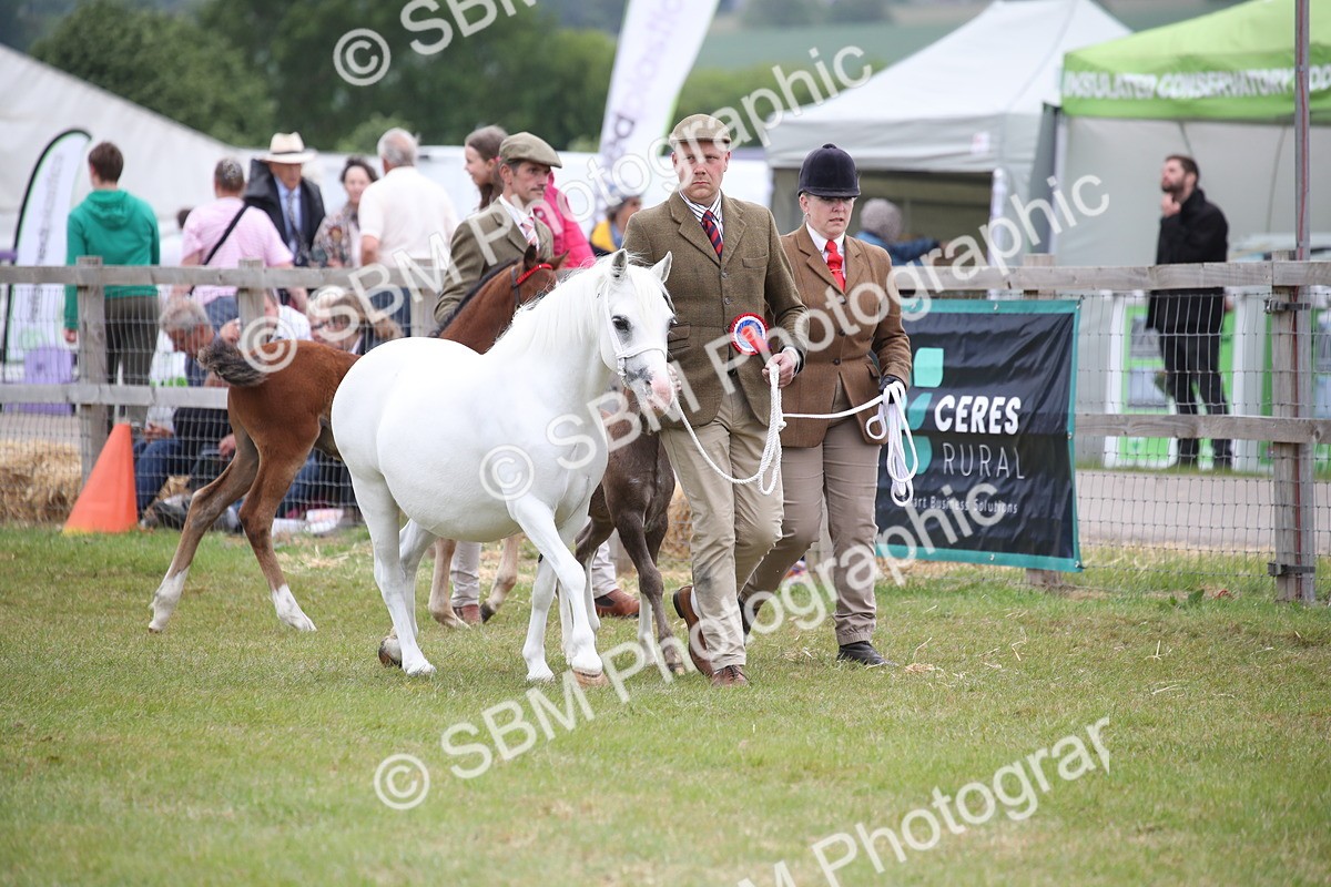 SBM_09724 - Ch 50 - Price Family Supreme In Hand