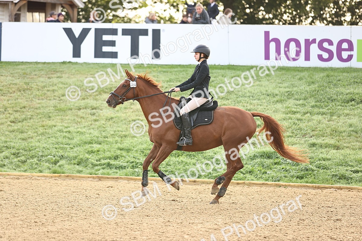 SBM_55104 - J62 - Clear Round 90cm