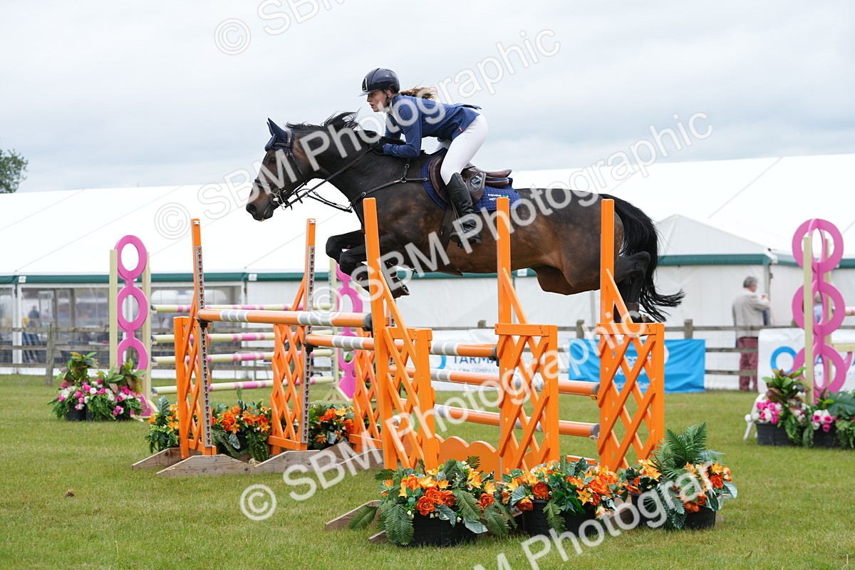 SBM_03045 - Class 201 - British Horse Feeds Speedi Beet Horse of the Year Show Grade  C