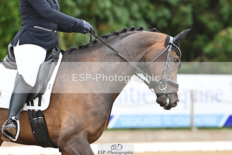 240811-094750-04607 - 147-Tegan.Ball-Woodcroft.Magic.Jewel