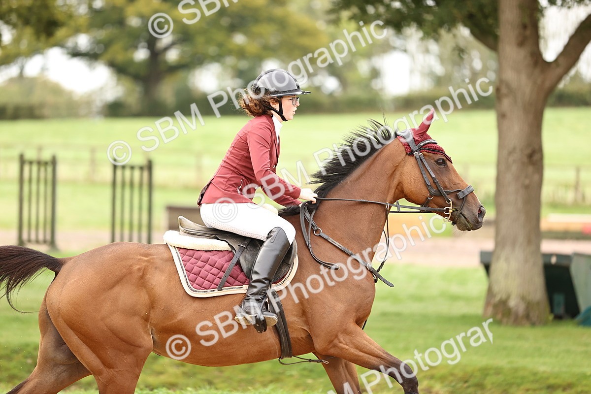 SBM_58333 - J41 - Grand Tour Horse & Pony 95cm