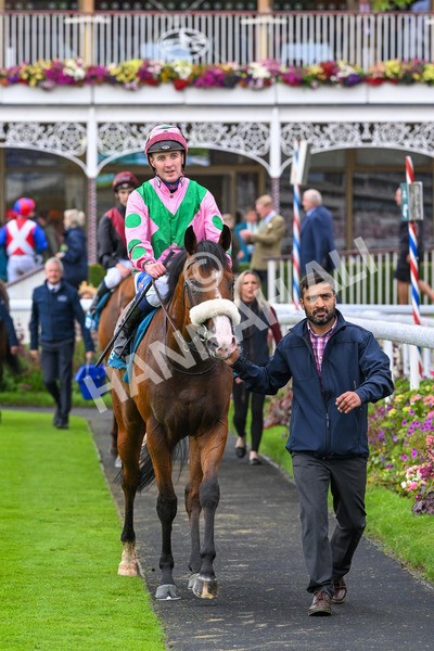 130724-Race 5-East Tyrone-7627 - Race 5 4.15pm John Smith's Nursery Handicap