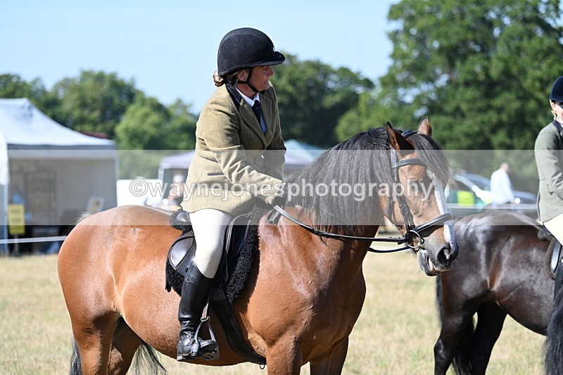 WJ7_3831 - Class 9 Mountain & Moorland Ridden