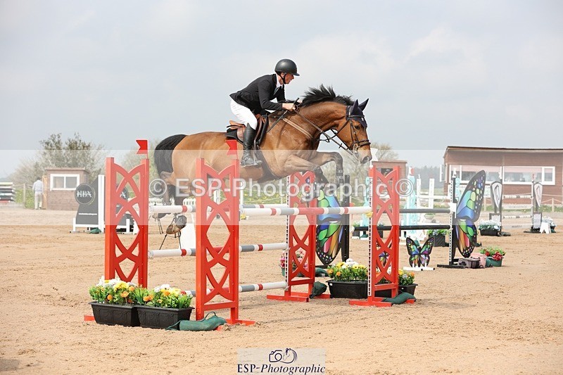 250424-104959-03249 - Cls 33 Young Horse 7yr old