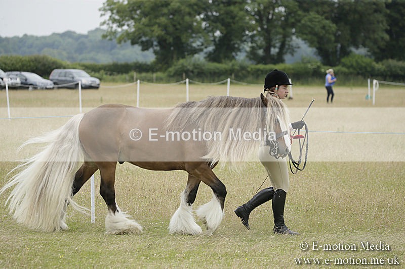B230619-0822 - Bourne Valley Riding Club Summer Show 23/06/19