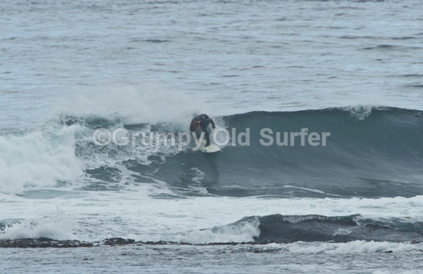 DSC_5331 - Brim Ness 15th August 2015
