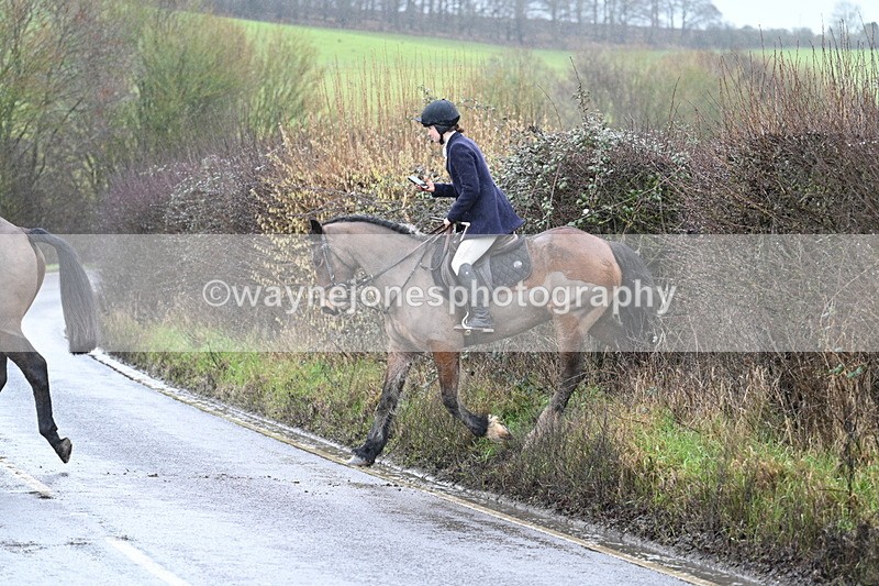 WJ7_6973 - Crossing A Camera