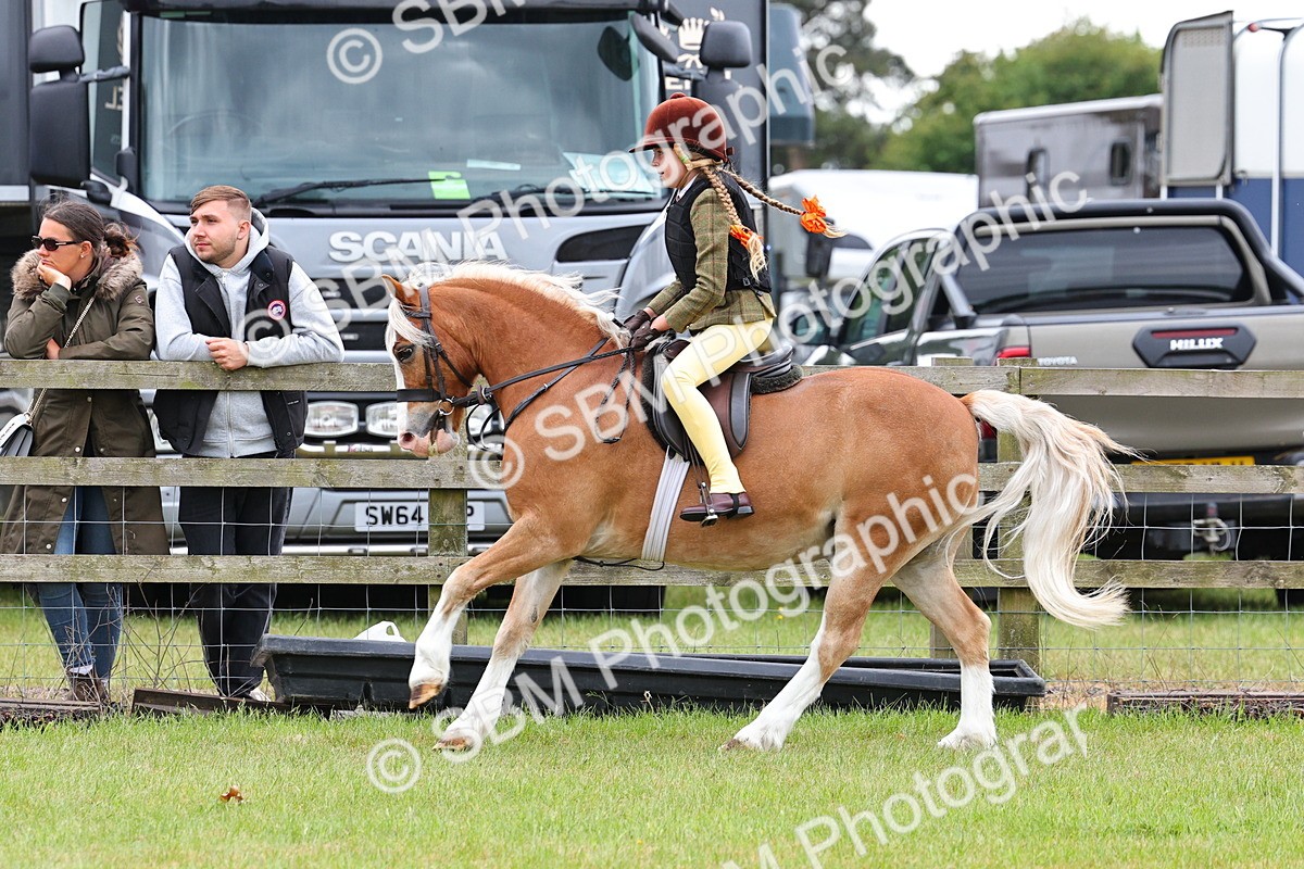 SBM_08747 - Class 42-43 - LIHS BSPS Heritage Working Sports Pony