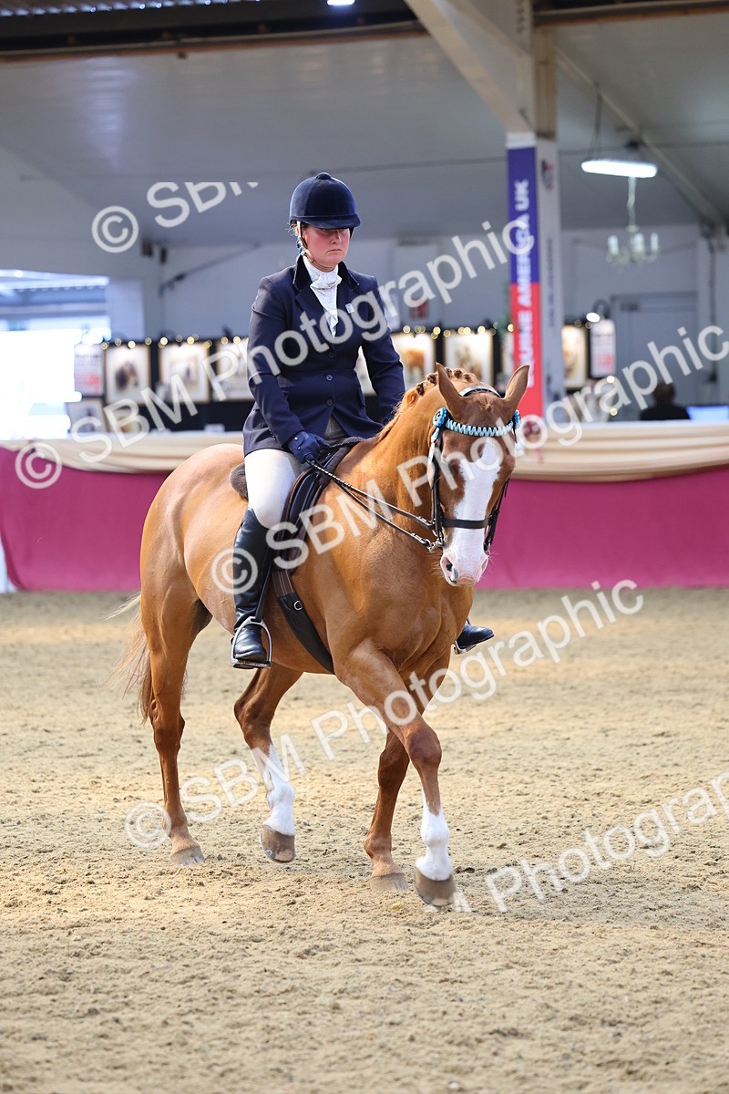 SBM_24137 - Class 905 - Supreme Final - Ridden Veteran