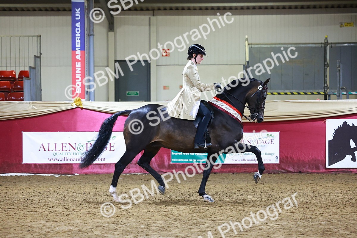 SBM_15575 - Class R - Veteran Champ