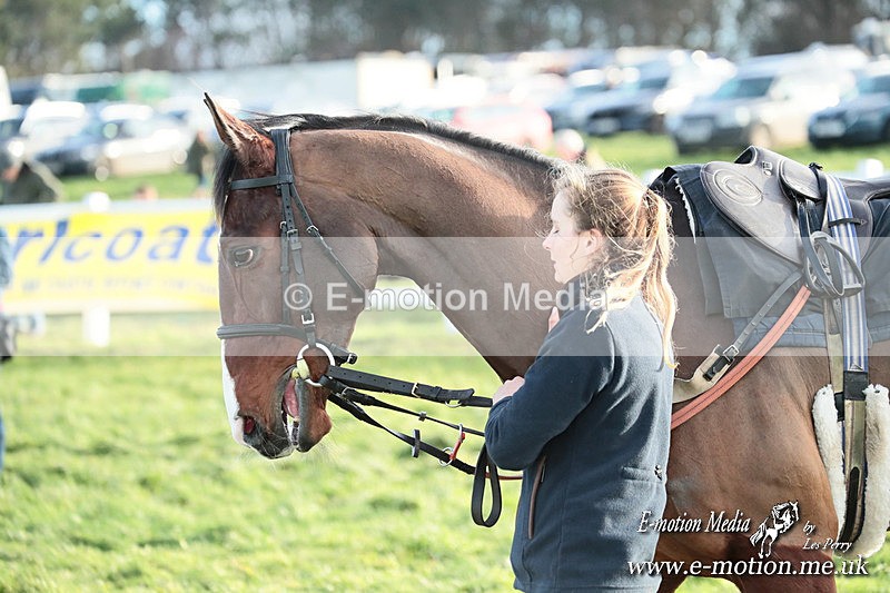 PtP 141225  1948 - New Forest Hounds PtP Larkhill 14/12/25