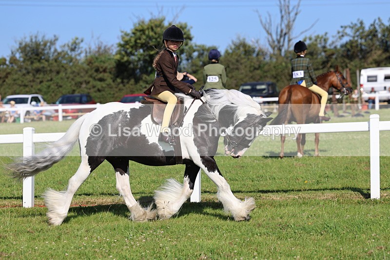 IMG_1473 - Class 30: Ridden Native/Trad Coloured Pony