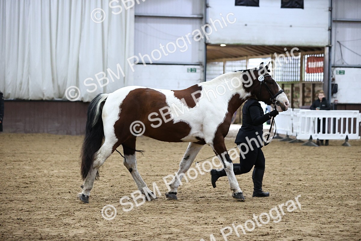 SBM_5294 - Class 32 - In Hand Cob Type