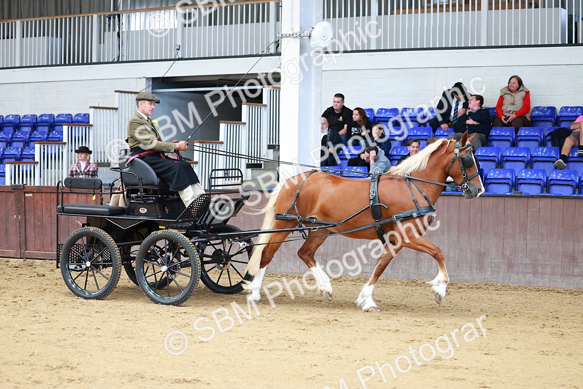 SBM_000680 - Class 11 - Peter Howell Memorial Gentlemen Whip