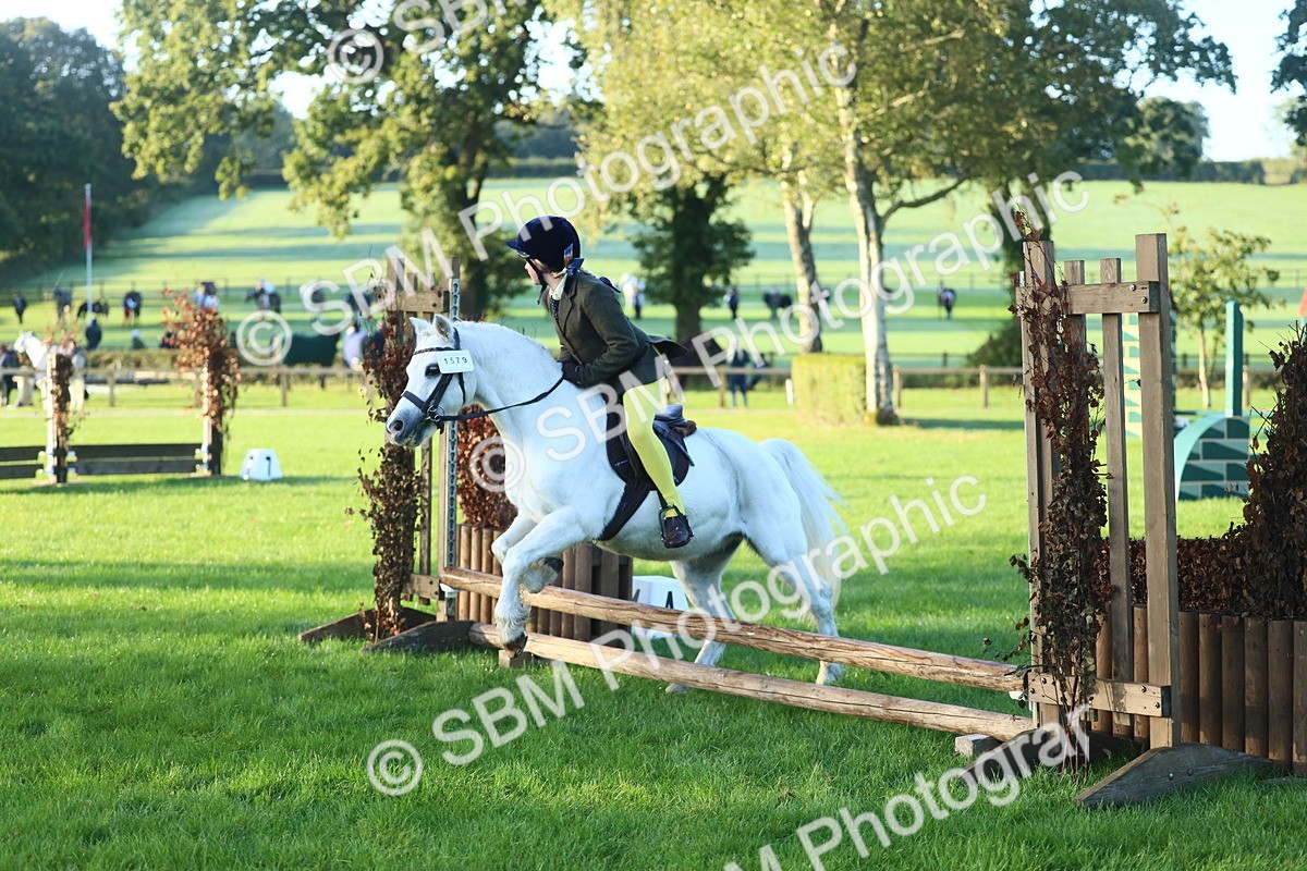 SBM_37169 - S29 - Novice & Newcomers Working Hunter Pony