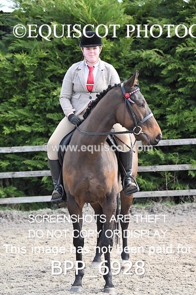BPP_6928 - RING 1  (RIDDEN HORSES / IN HAND / VETERAN ETC)