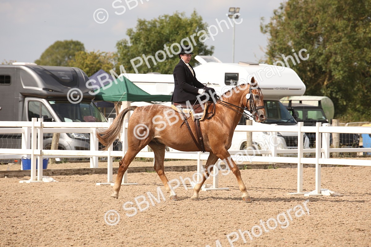 SBM_06710 - Class 24 Concours d'elegance