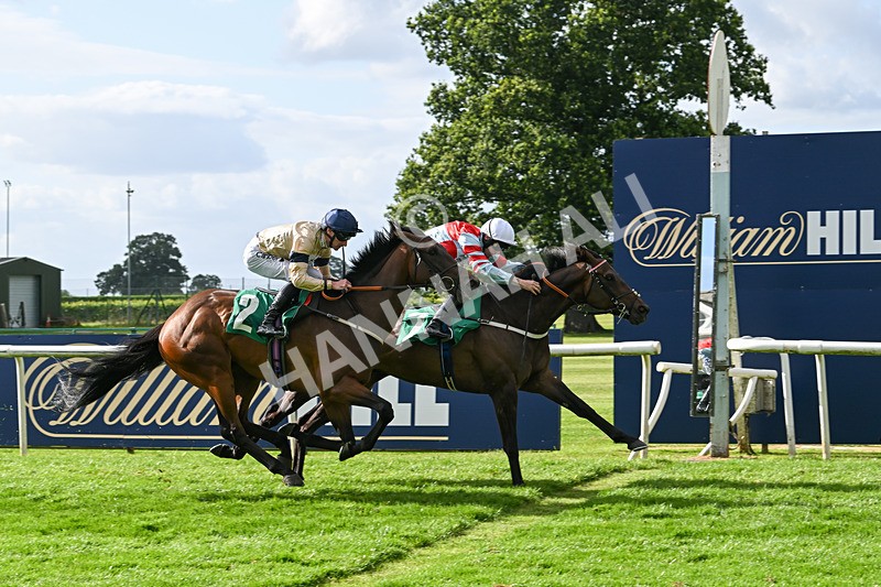 030824-Race 6-Night Breeze-1967 - Race 6