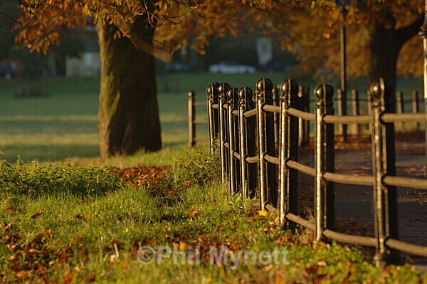 MynottART132 - Photo Mynott ART Images