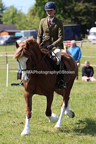 IMG_4325 - Working Hunter