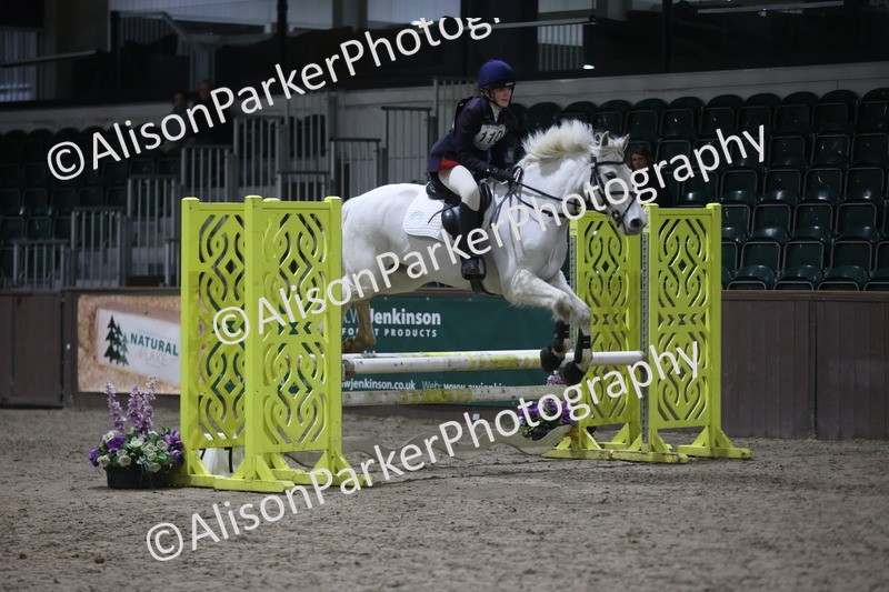 20260125-4991 - Class 5 - 80cm