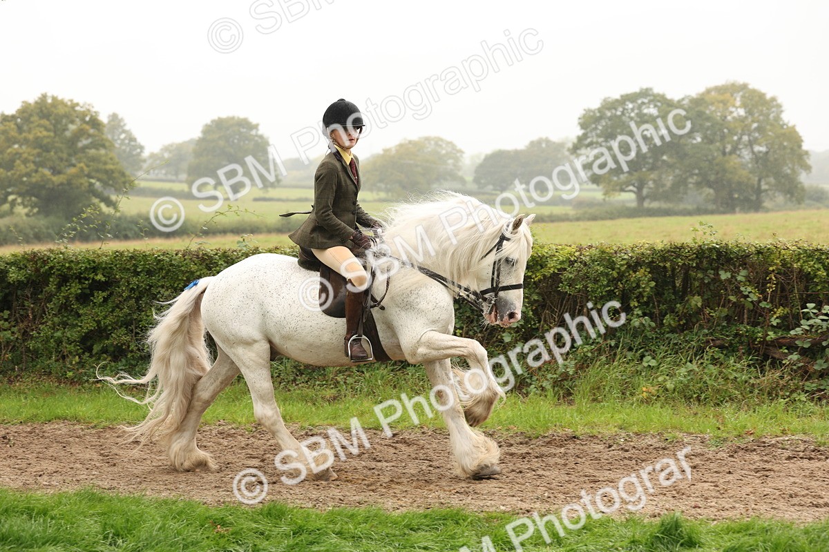 SBM_72703 - S70 - Traditional Cob Ridden