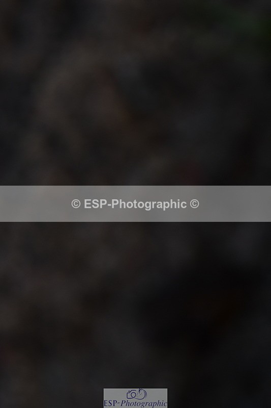 231104A-100315-00034 - Cls 6 Music Novice