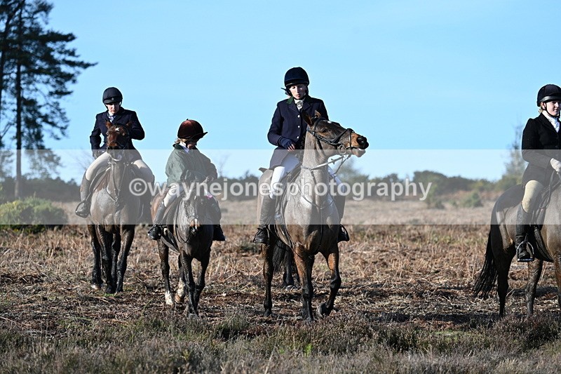 WJ7_7355 - Line 3 (no line 4 or 5)