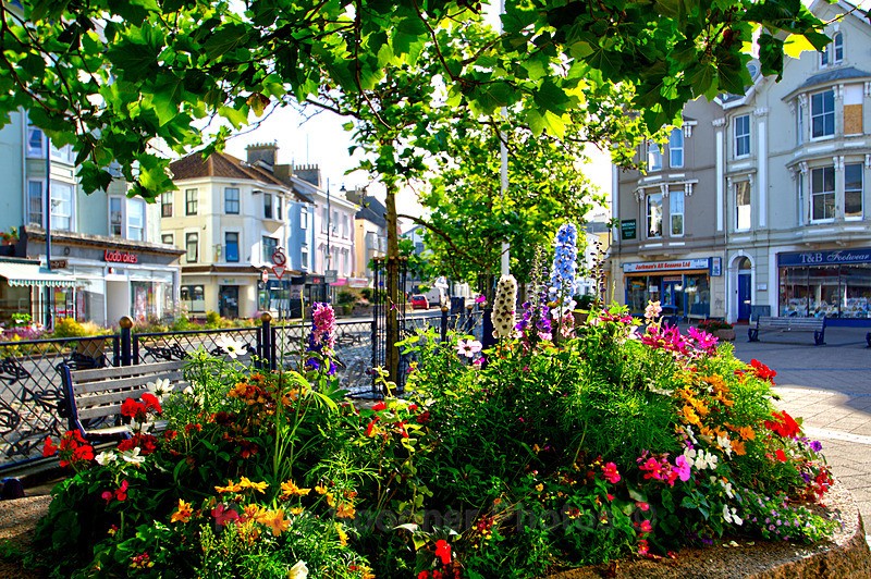 TS92 Beautiful flowerbeds at The Triangle in Teignmouth - Greetings Cards Teignmouth and Shaldon