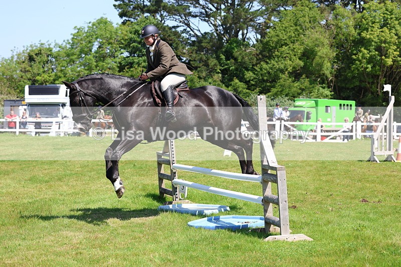 3E7A7002 - Class 30: Novice Working Hunter