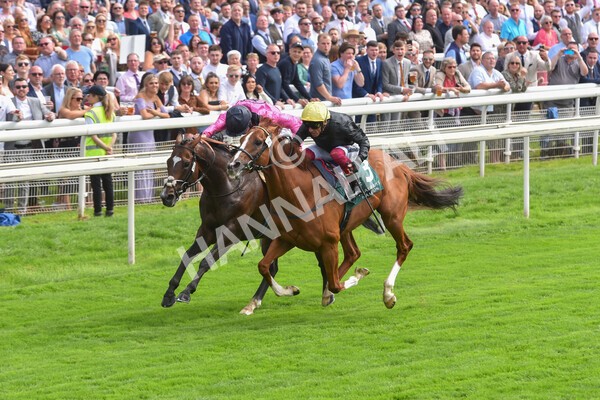 yr20082021r2-55 - Race 2 2.25pm Weatherbys Hamilton Lonsdale Cup (British Champion Series race)
