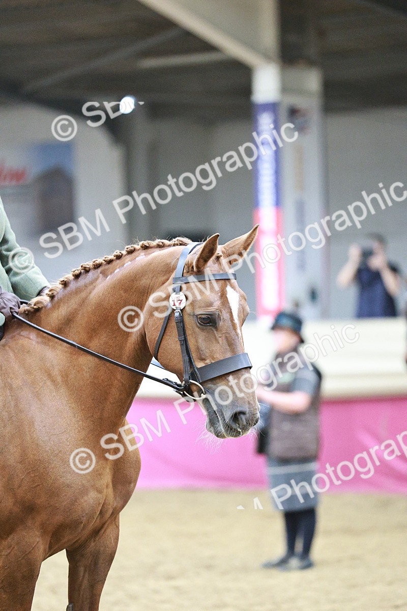 SBM_03382 - Class 6A Area Ridden Pre-Vet