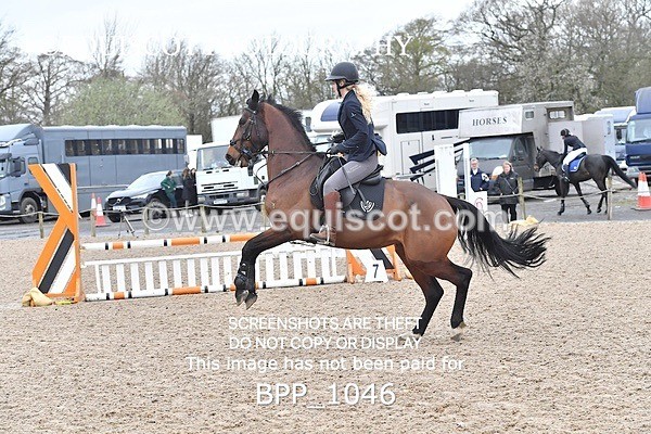 BPP_1046 - CLASS 2 Club/ Unaffiliated 80cms Open