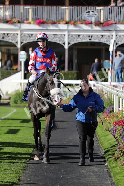 yr08102022r4-47 - Race 4 3.15pm The Coral Sprint Trophy