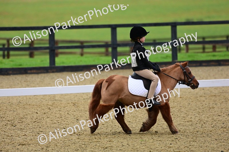 20260125-0565 - Class 9b - Walk Trot Unassisted