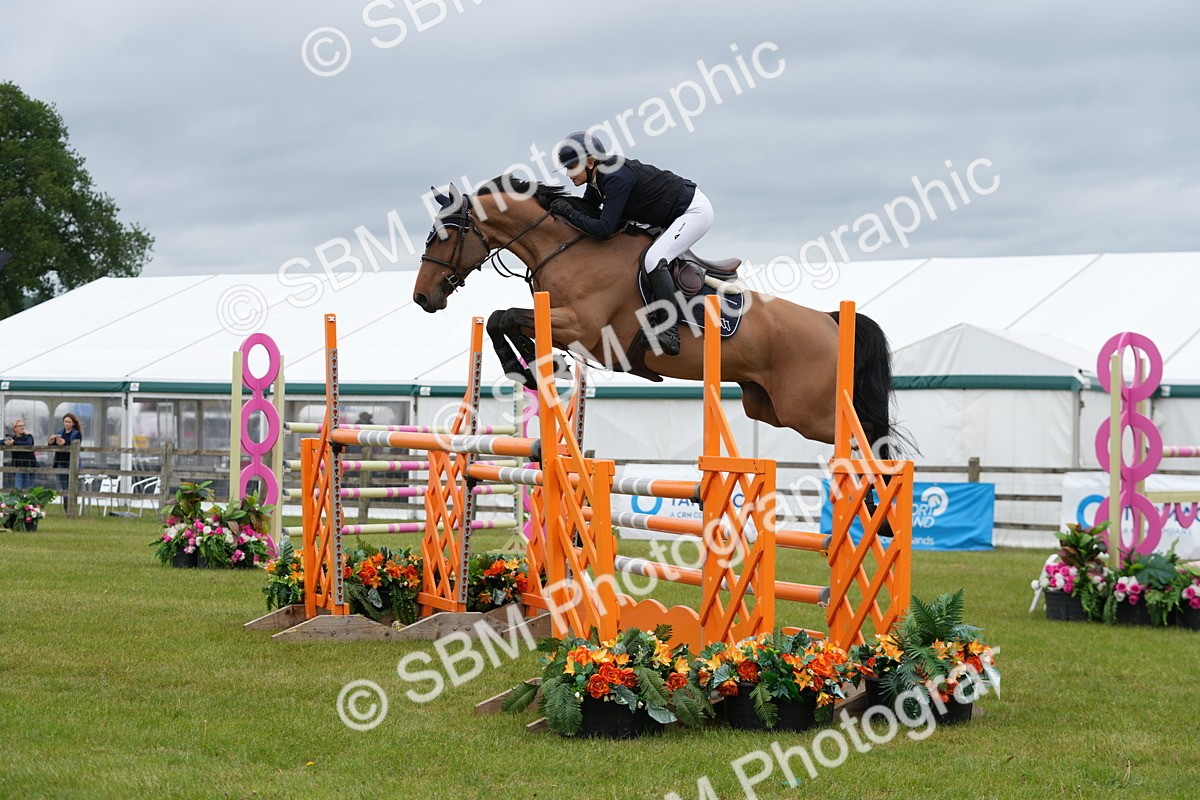 SBM_03382 - Class 201 - British Horse Feeds Speedi Beet Horse of the Year Show Grade  C