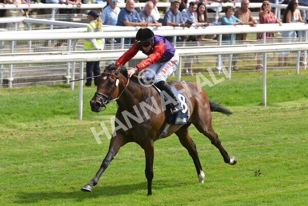 yr09072021r2-20 - Race 2: 2.40pm William Hill Summer Stakes