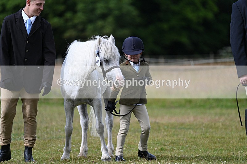 WJ7_4573 - Class 1 Lead Rein Pony