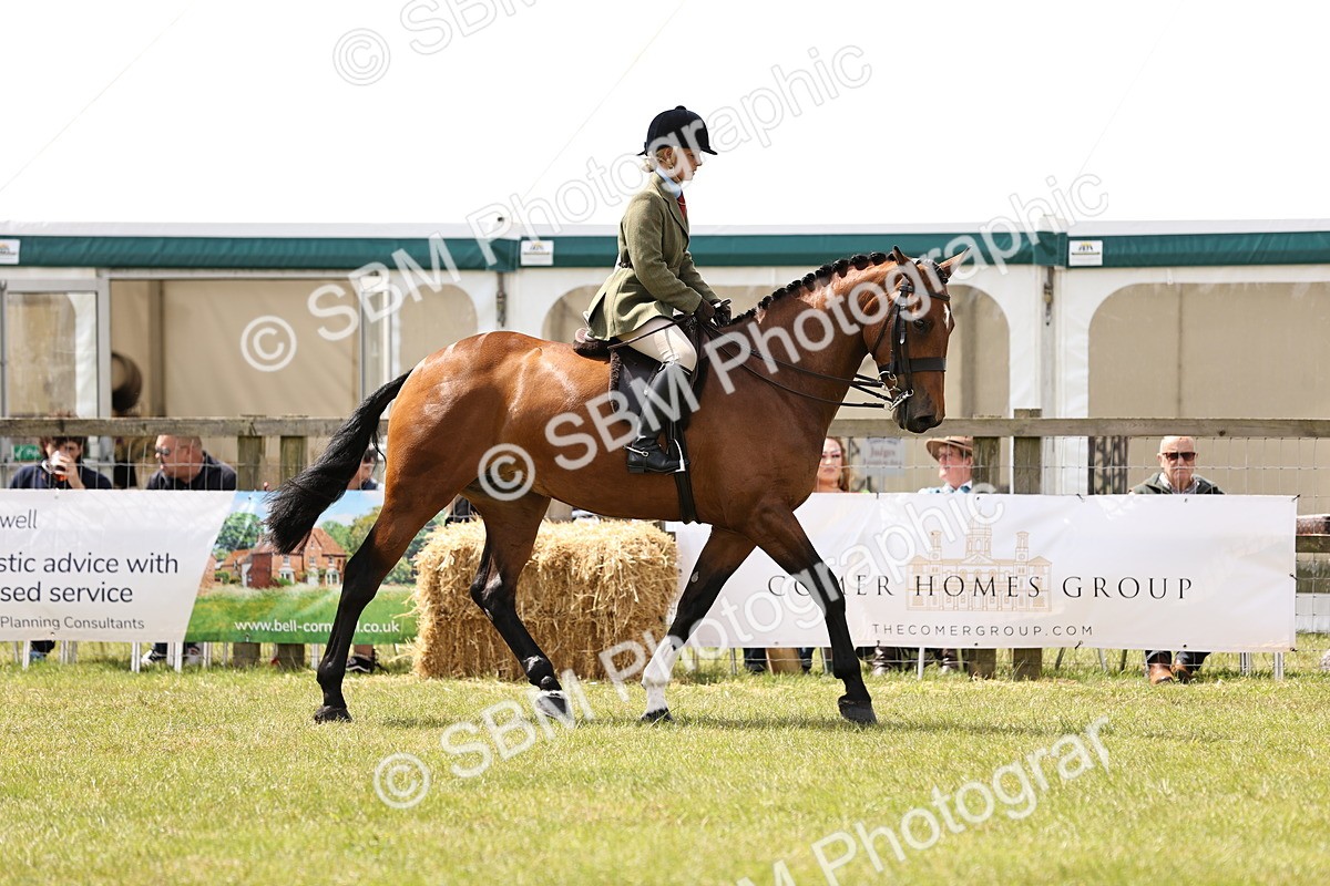SBM_14712 - Class 88-89 - LIHS BSHA Rising Star of Ridden Hunter Type