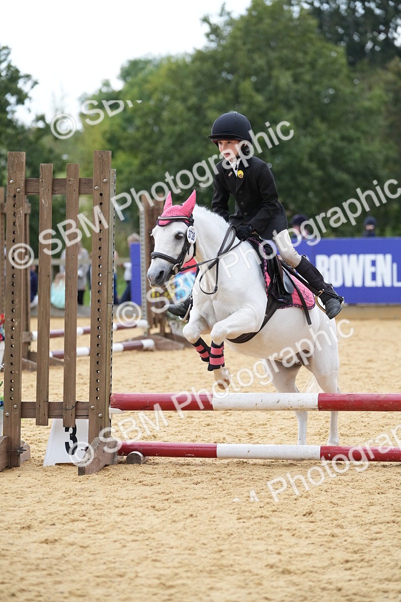 SBM_74645 - J4 - Mini Tour Junior Pony 45cm Championship