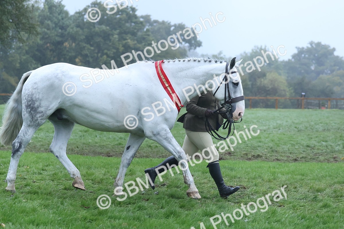 SBM_73244 - Super Supreme Championship(Sun)