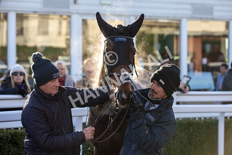 221124-Race 1-You Some Girl-8444 - Race 1