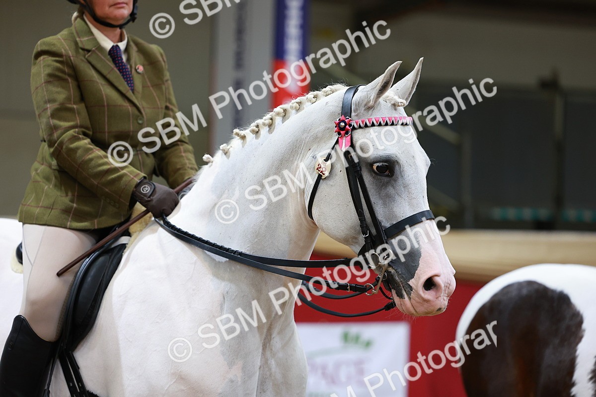SBM_05502 - Class 11R - Ridden Veteran