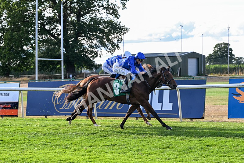 140826-Race 2-National Honour-0952 - Race 2 18.08pm JW 4x4 Northallerton Irish EBF Novice Stakes